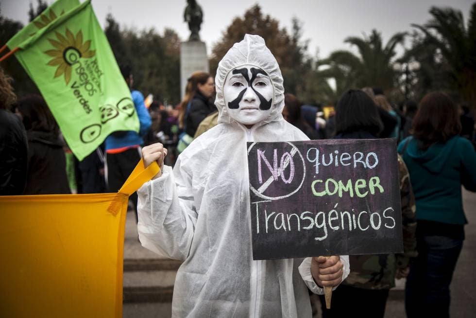 Greenpeace y su historia de lucha contra los transgénicos