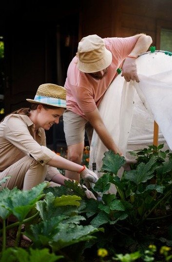 Voluntariado ambiental , una forma de cuidar el planeta mientras viajas.