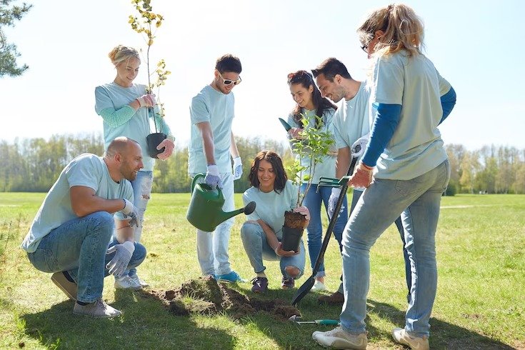 Reforestar es para Greenpeace, la clave para diseñar un futuro más sostenible